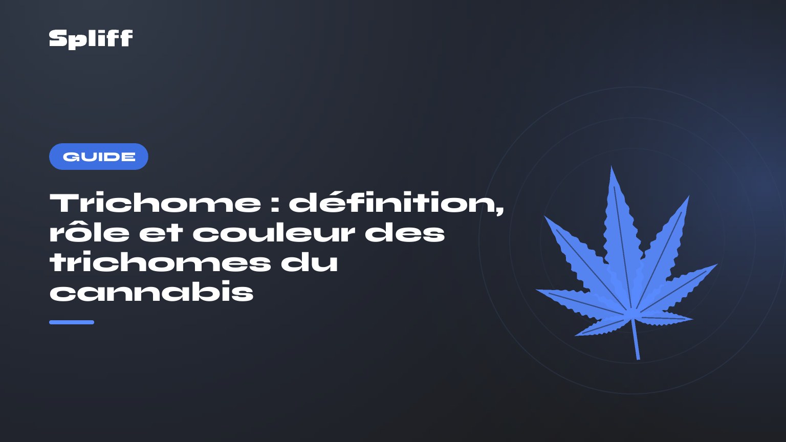 Trichome : définition, rôle et couleur des trichomes du cannabis — titre sur fond sombre, feuille de chanvre stylisée