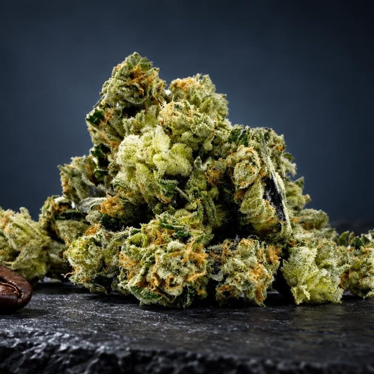 Trim premium CBD : fleur Minibud Premium Superskunk dans une composition de studio