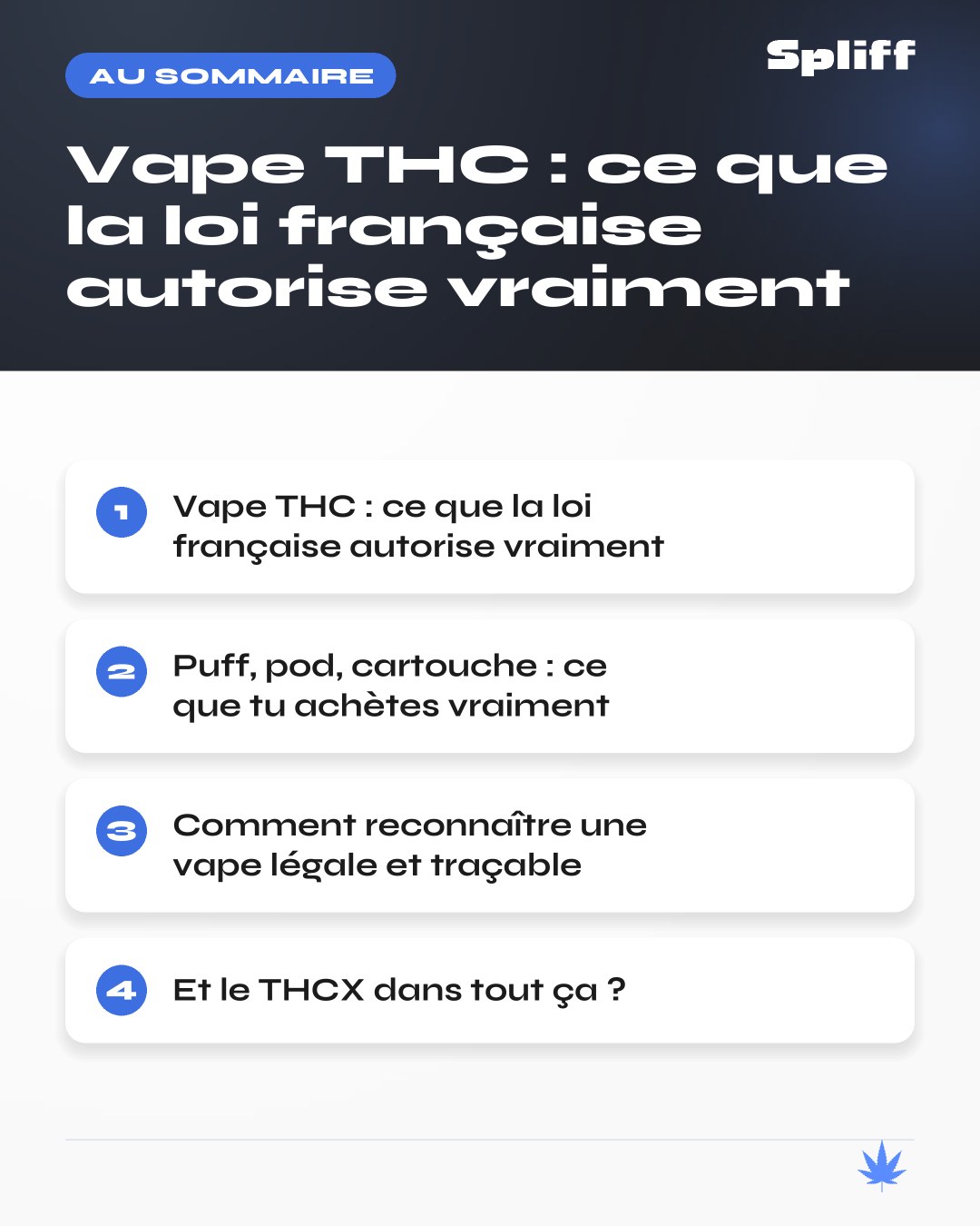 Vape THC : au sommaire — Vape THC : ce que la loi française autorise vraiment