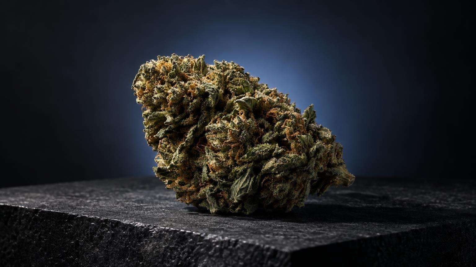Getrocknete Hanfblüte mit dichter Struktur auf dunklem Untergrund, Vaporizer thc Thema