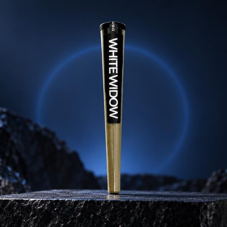 Cylindre blanc et noir posé sur une roche, fond bleu nuit mystérieux, variété White Widow