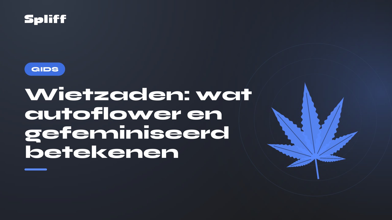 Wietzaden: wat autoflower en gefeminiseerd betekenen — titel op donkere achtergrond, gestileerd hennepblad