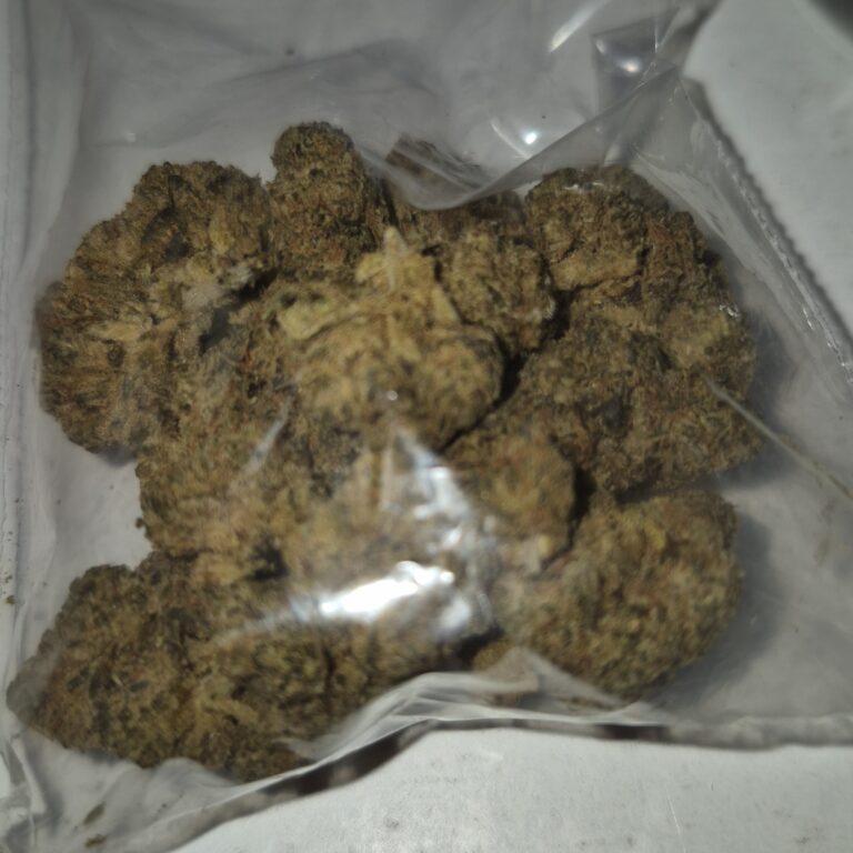 Click to view full screen Avis client Amnesia avec photo - Spliff