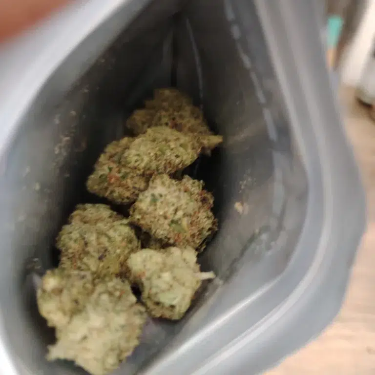 Click to view full screen Kundenbewertung Gelato 33 mit Foto - Spliff