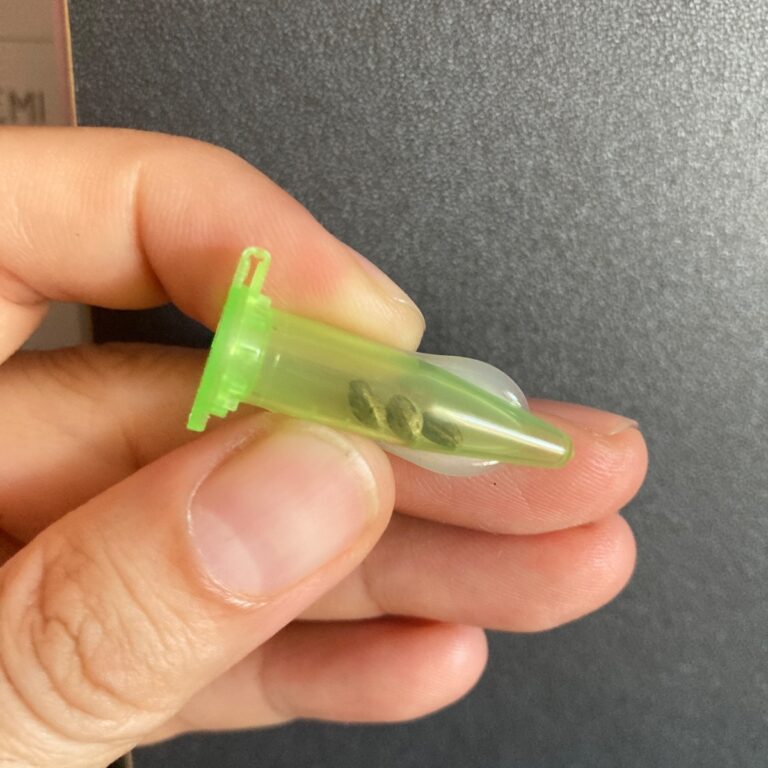 Kundenbewertung Gelato Auto mit Foto - Spliff