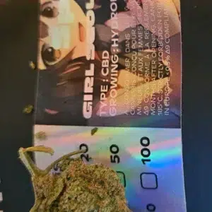 Avis client Girl Scout Cookies avec photo - Spliff