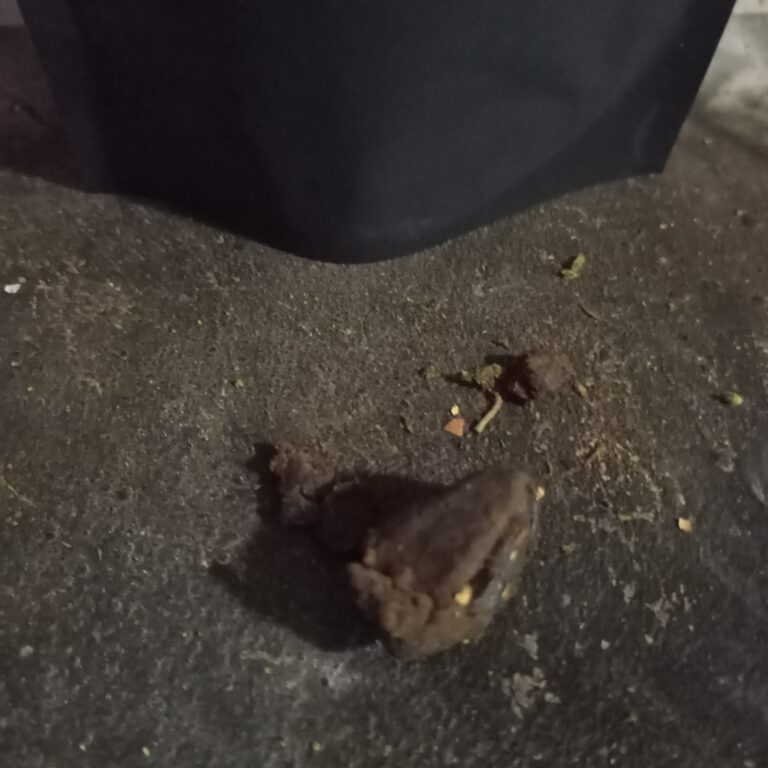 Click to view full screen Avis client Kashmir Hash avec photo - Spliff