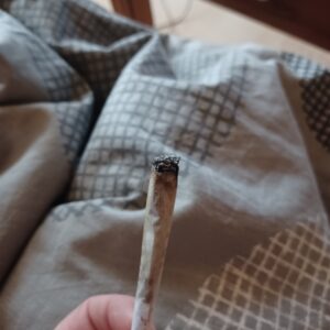 Avis client Lemon Kush Pop avec photo - Spliff