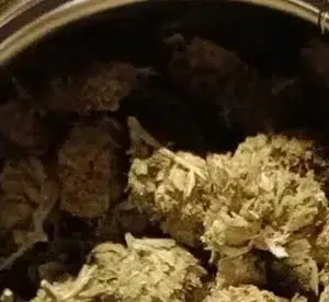 Avis client Minibud Premium Superskunk avec photo - Spliff