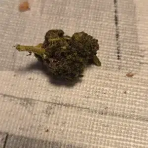 Avis client Minibud Premium avec photo - Spliff