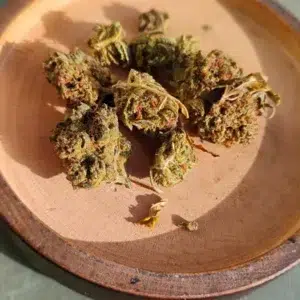 Avis client Minibud Premium avec photo - Spliff