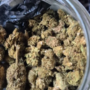 Avis client Minibud Premium avec photo - Spliff