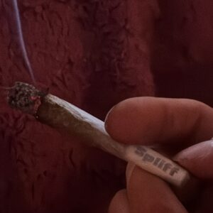 Avis client Minibud Premium avec photo - Spliff
