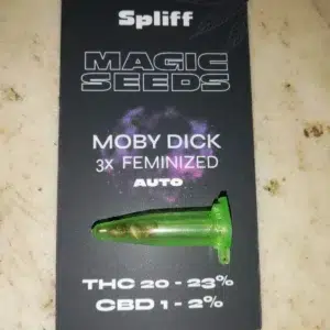 Avis client Moby Dick Auto avec photo - Spliff