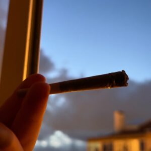 Avis client Joint pré-roulé - Zkittlez avec photo - Spliff