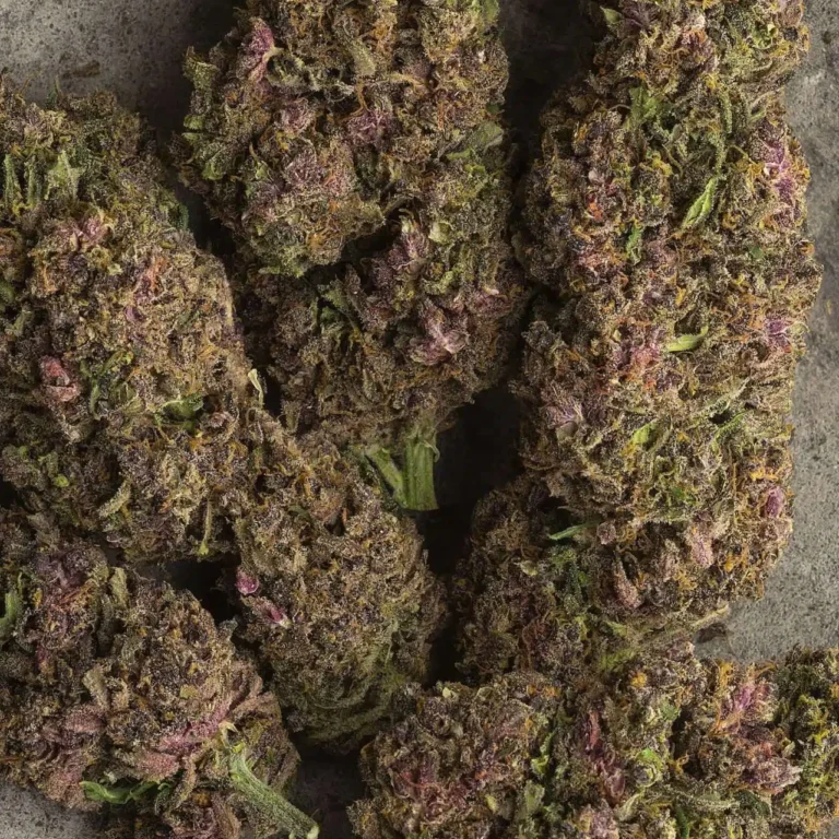 Avis client Purple Haze avec photo - Spliff