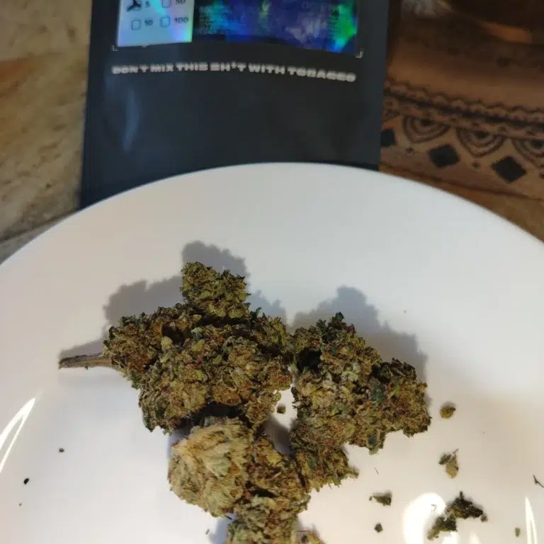 Kundenbewertung Sapphire mit Foto - Spliff