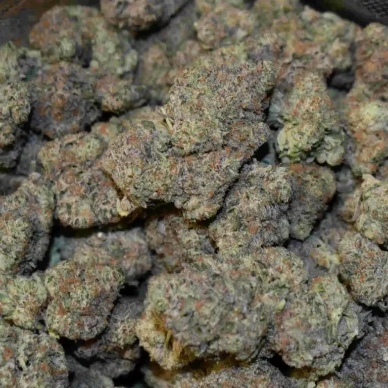Kundenbewertung Sour Diesel mit Foto - Spliff