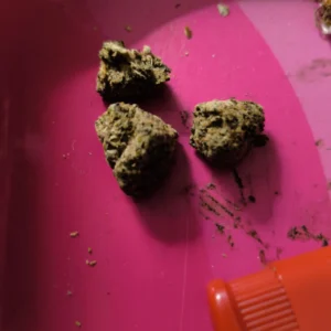 Avis client Sour Diesel avec photo - Spliff