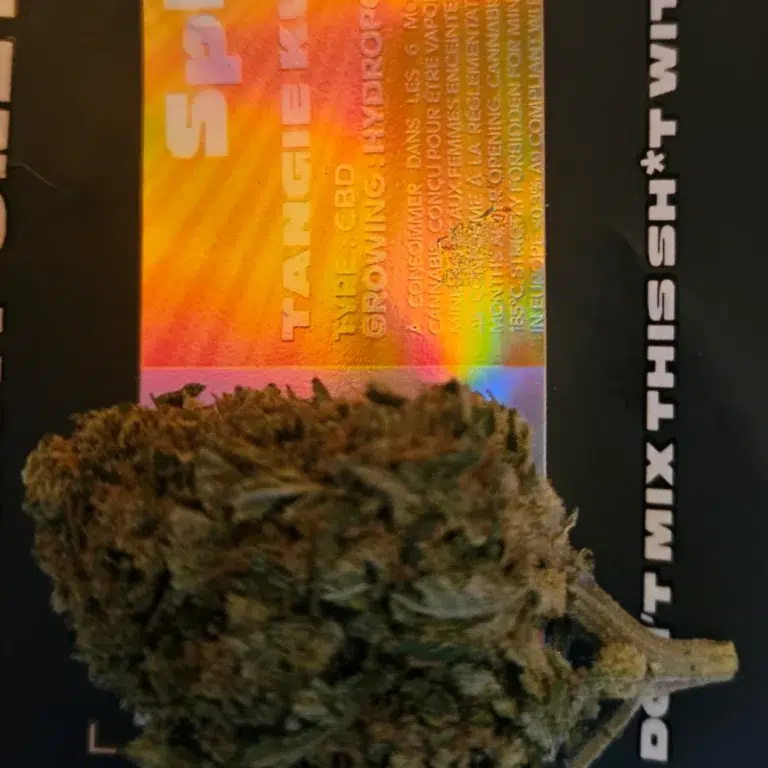 Klantbeoordeling Tangie Kush met foto - Spliff